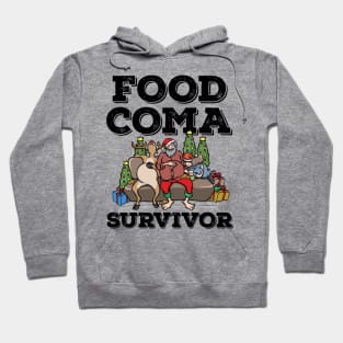 Foodie Gifts Santa Claus Food Coma Funny Christmas Pun Hoodie